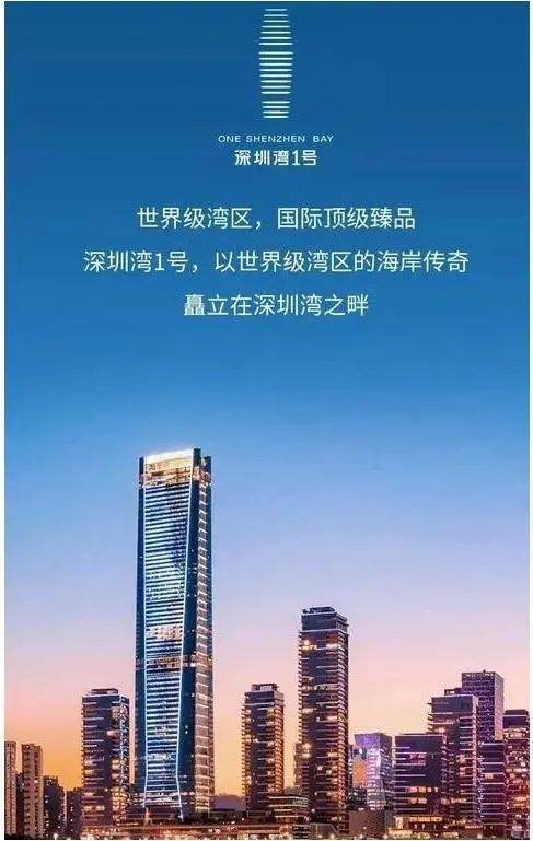 024网站 深圳湾1号首页网站-房天下AG真人直营南山「深圳湾1号」招租 2(图2)